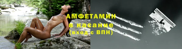 сатива Алексеевка