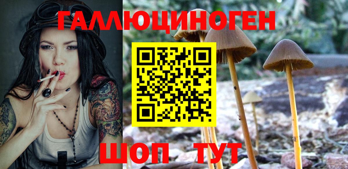 Псилоцибиновые грибы мухоморы Череповец