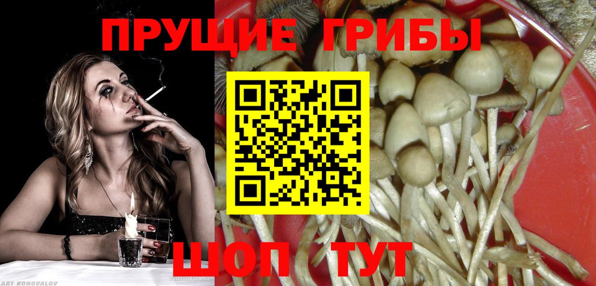 Галлюциногенные грибы ЛСД  Галлюциногенные грибы Cubensis  Череповец  Вход с VPN 